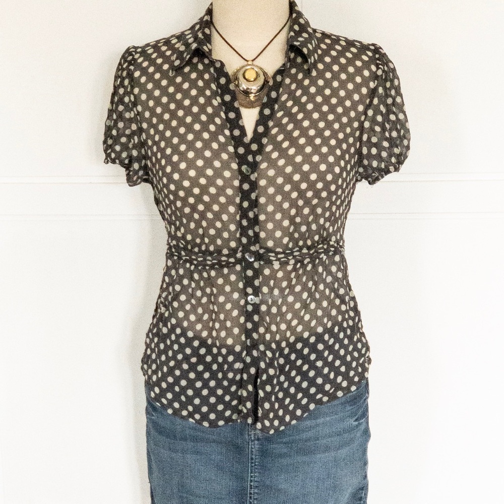 The Limited - Sheer Polka Dot Blouse